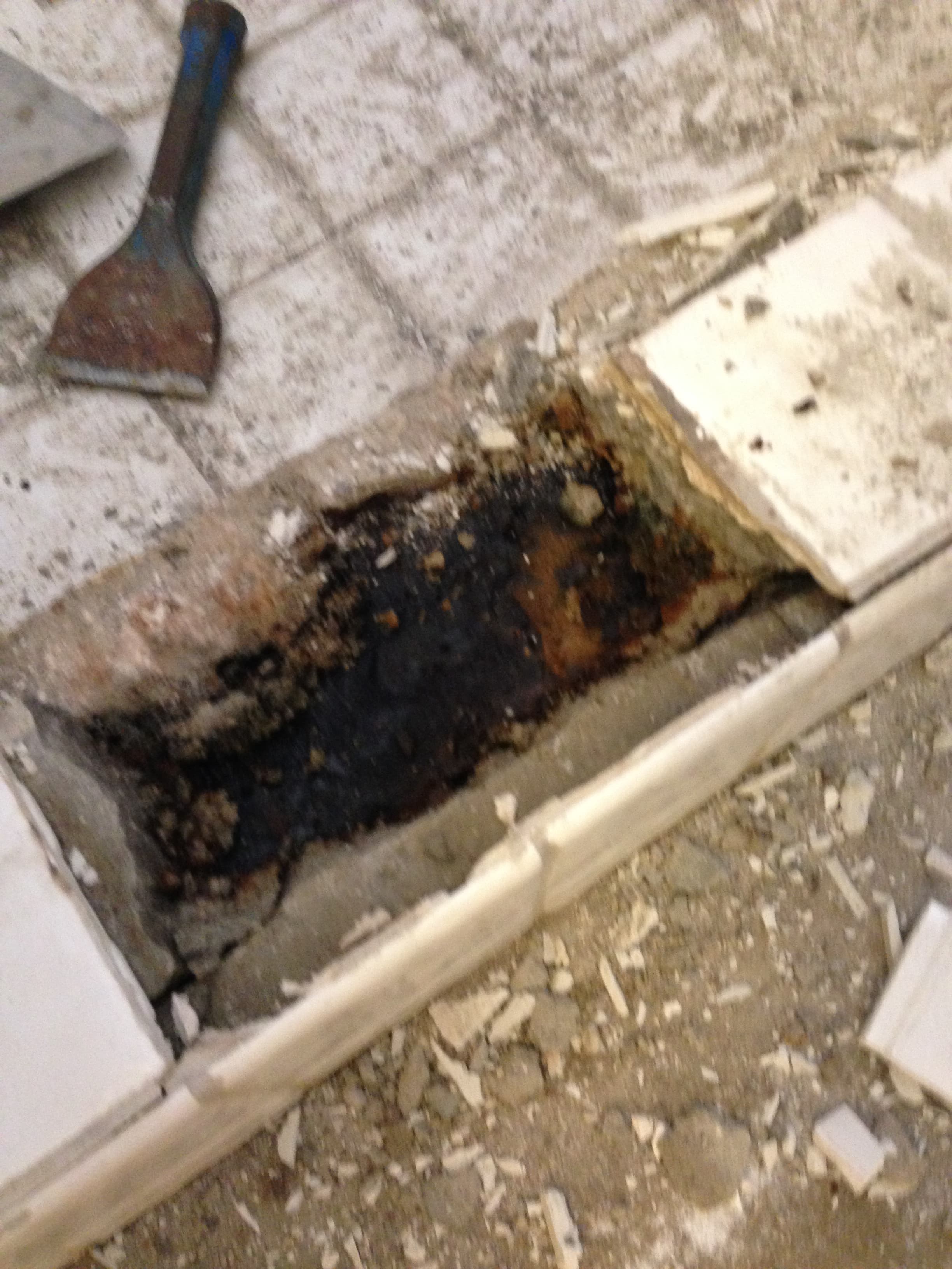 Construction work photo - IMG_0143.jpg - Heinige & Sons Construction