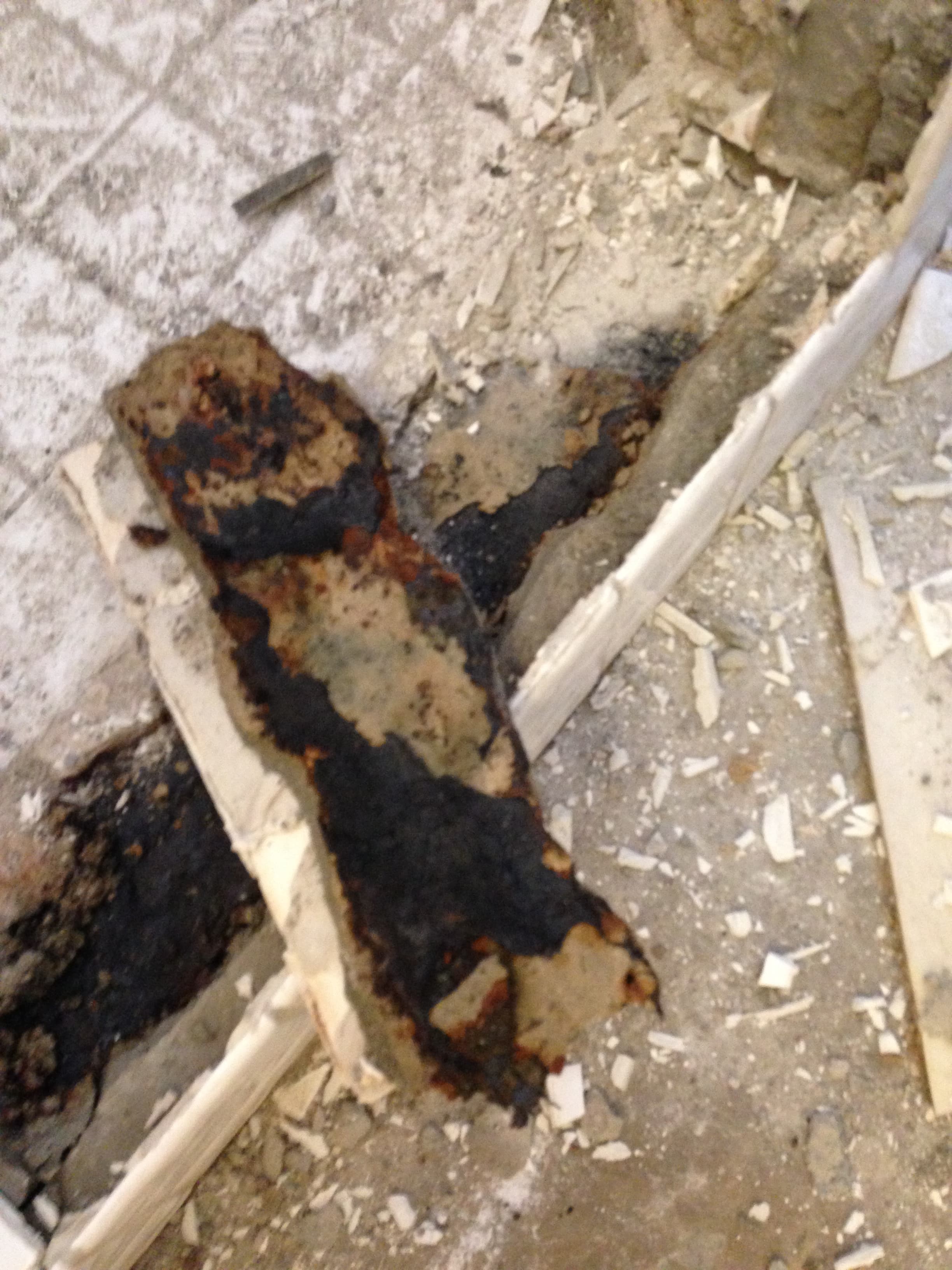 Construction work photo - IMG_0145.jpg - Heinige & Sons Construction