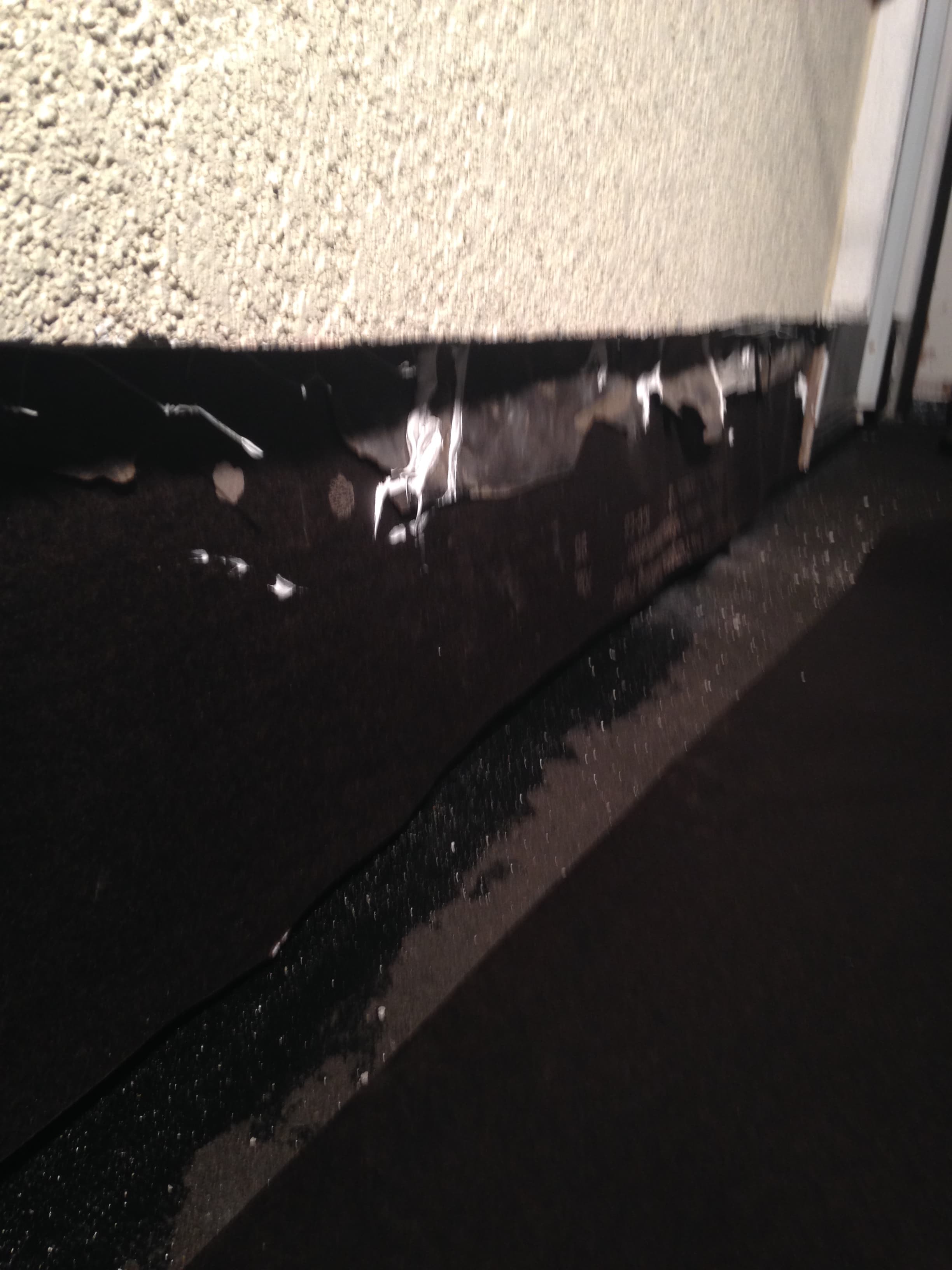 Construction work photo - IMG_1604.jpg - Heinige & Sons Construction